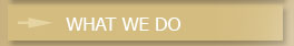 What we do